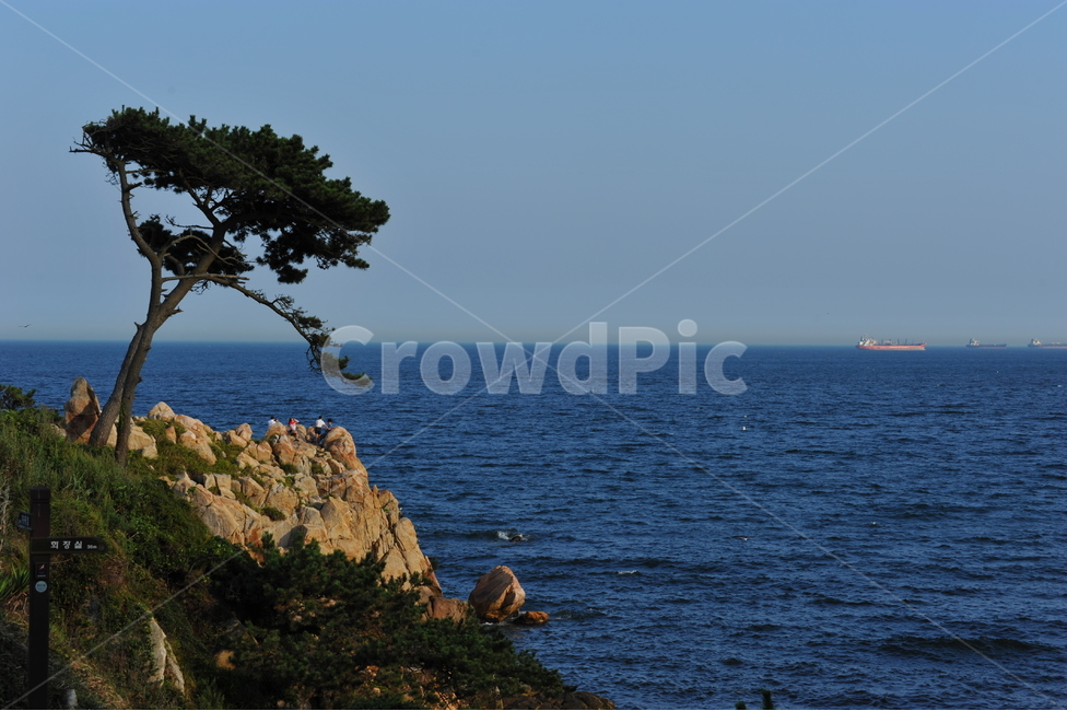 자연,바다,나무,여유,푸른,파란,지평선,곶,자연,풍경,nature,landscape,promontory