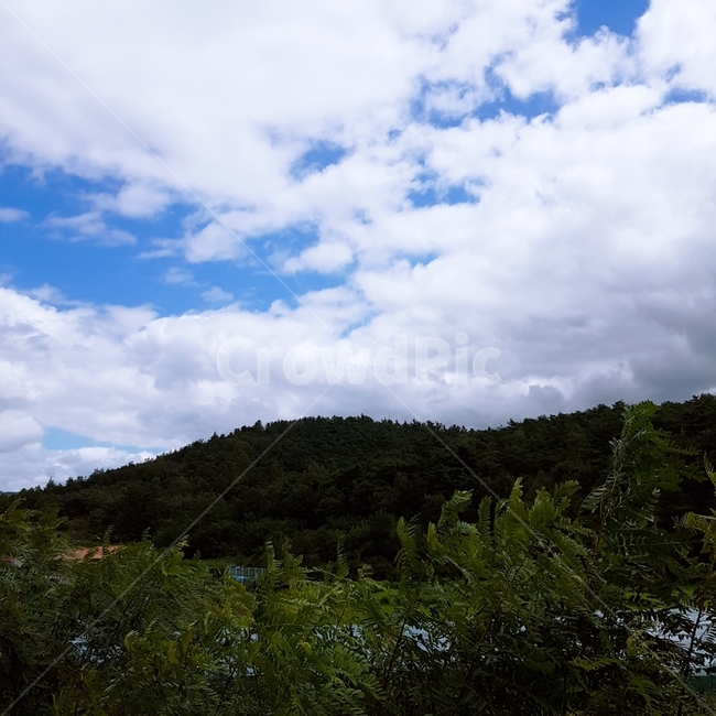 sky,cloud,구름,weather,cumulus,적운,하늘