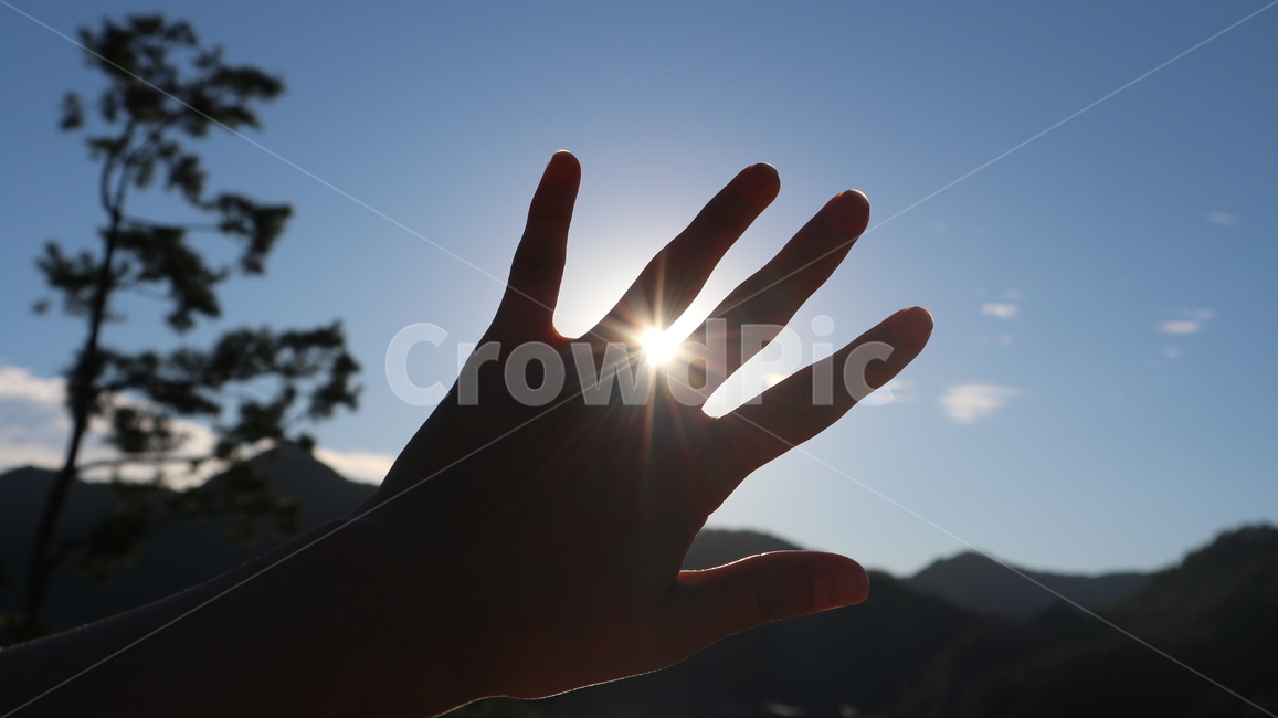 손,빛,하늘,반지,나무,구름,산,여름,여름하늘