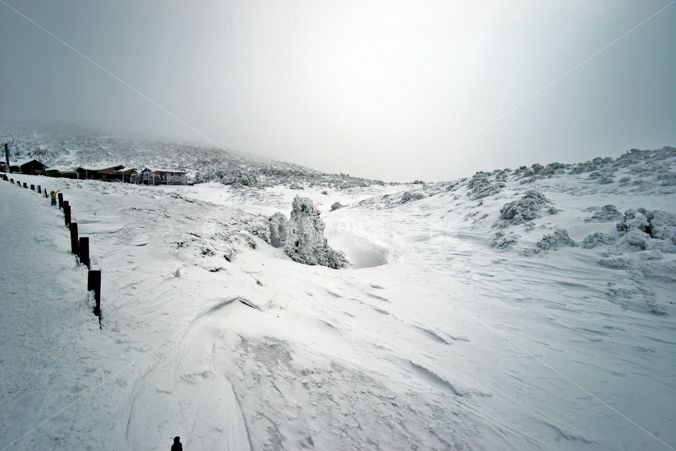 한라산,제주도,영실코스,설경,설화,겨울,겨울,계절,winter,season