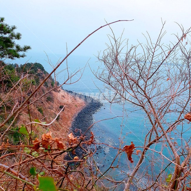 제주도,제주,최남단,대정,송악산,바다,돌,자연