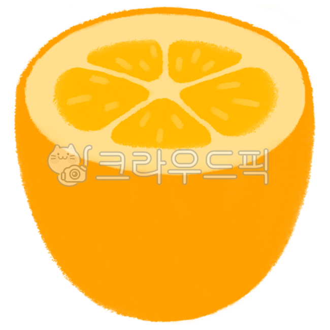 Bbaengkang,bbaengkang illustration,bbaengkang drawing,bbaengkang image,bbaengkang cross section,bbaengkang piece,kumquat,kumquat illustration,kumquat drawing,kumquat image,kumquat cross section,kumquat piece