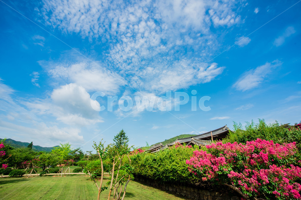 안동,병산서원,전통,문화유산,건물,자연,풍경,nature,landscape,한국전통,한국문화,korean traditional,korean culture,건축물,건물외관,exterior,building,structure,architecture,construction,outdoors,옥외,garden,정원,arbour,정자