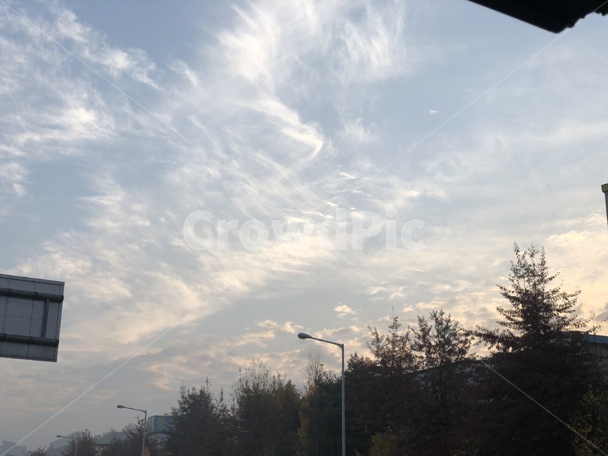 하늘,구름,나무,풍경,도시,노을,퇴근