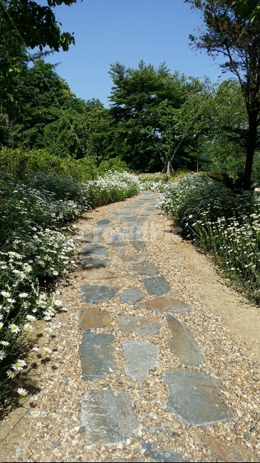길,오솔길,숲길,꽃길,풍경,봄,road,자연,풍경,nature,landscape,flagstone,판석,dirt road,흙길,gravel,자갈,도로,path,통로