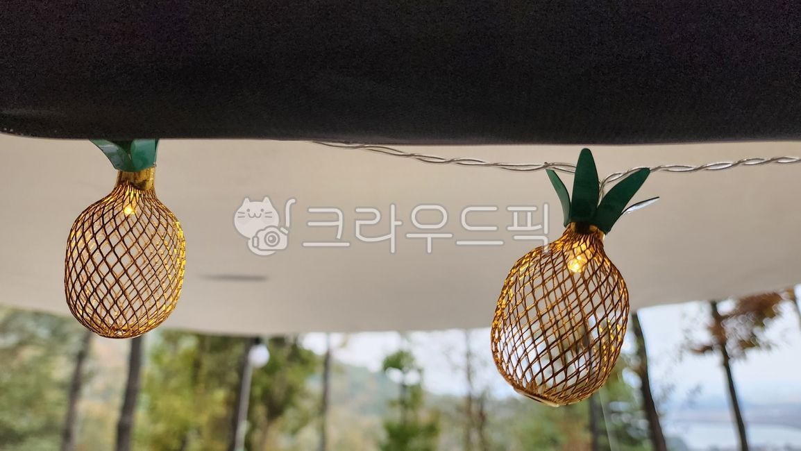 string lights,camping light bulb,light,pineapple bulb,bulb,tree