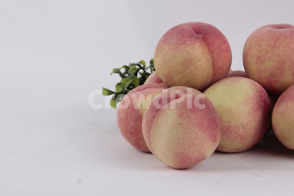 fruit,과일,food,음식,peach,복숭아,과일,열매,fruit