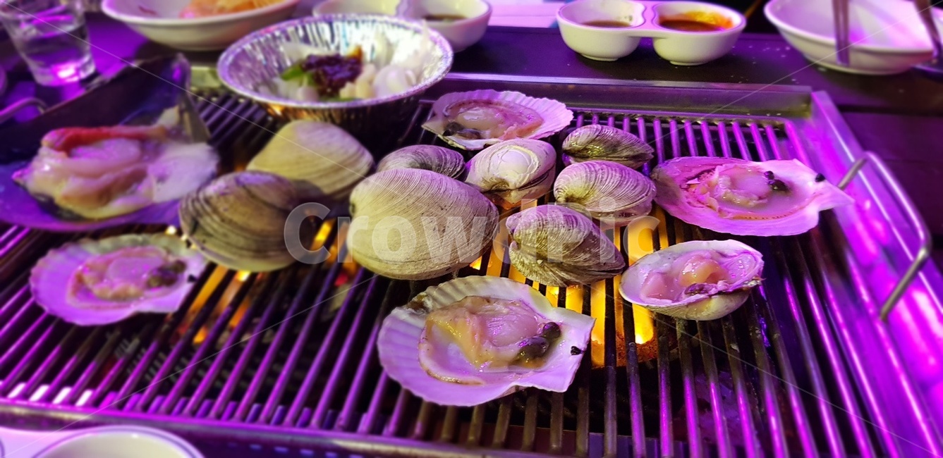 조명,가리비,조개,구이,조개구이,해산물,바다음식,음식,술안주,소주안주