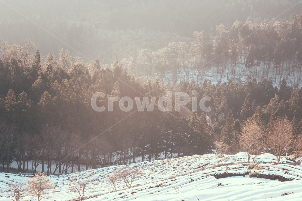 nature,자연,outdoors,옥외,weather,날씨