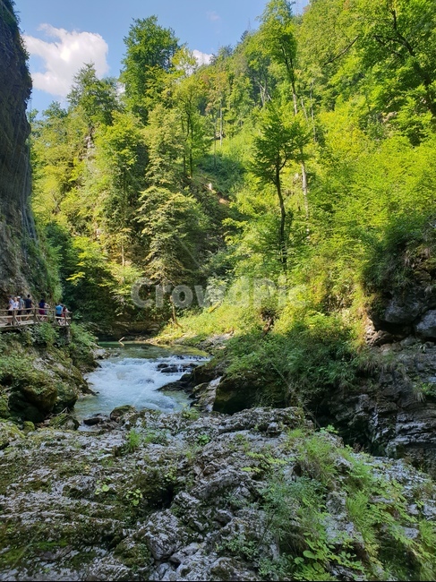 협곡,계곡,여름,슬로베니아,빈트가르,vintgar,gorge,valley,빈트가르협곡,계곡물,자연,풍경,동유럽,물,경관,더위,숲,나무,자연,풍경,nature,landscape,해외,외국,세계,foreign,oversea,world,세계자연풍경,해외자연풍경,외국자연풍경,world nature landscape,사람들,대중,군중,other people,crowd,water,outdoors,옥외,stream,흐름,creek,작은 만