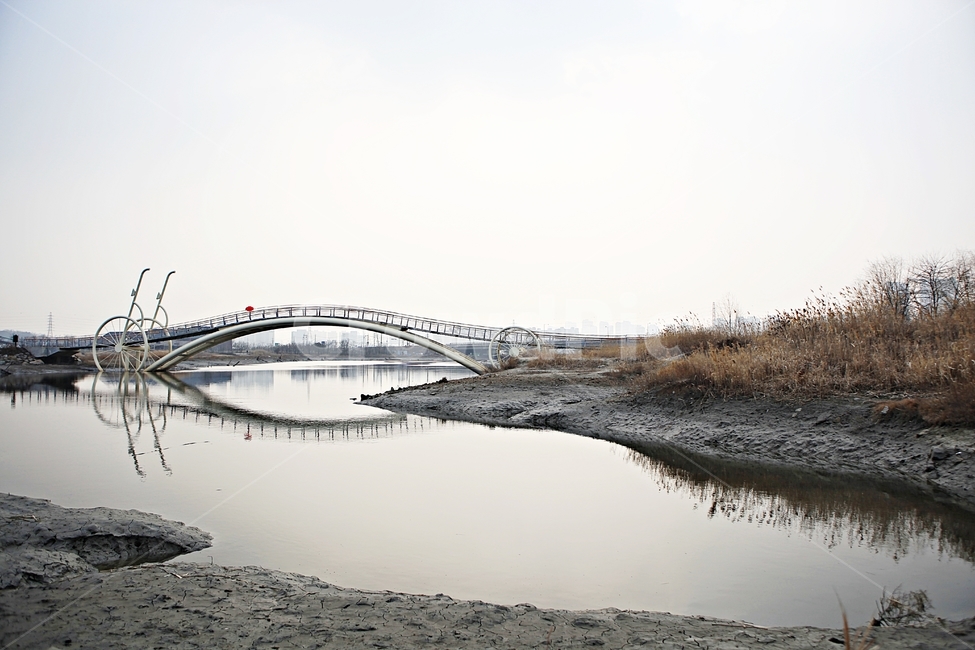 미생의다리,다리,생태공원,자연,풍경,배경,건축물,건물외관,exterior,building,structure,architecture,construction