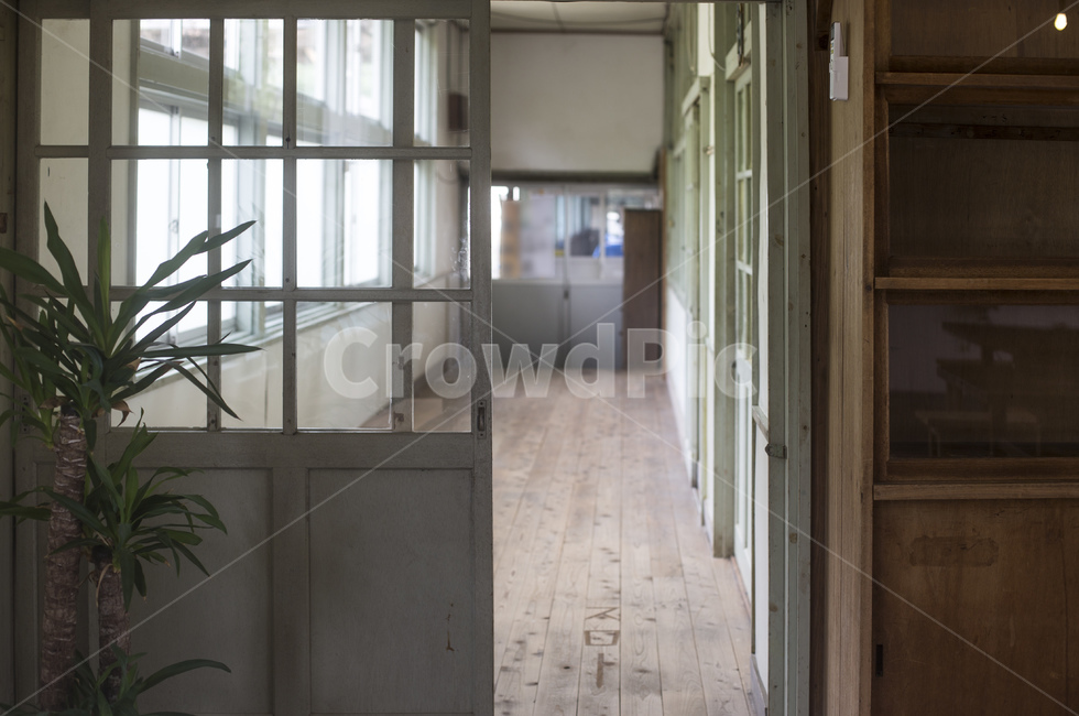 학교,복도,마루,창문,교실,학교복도,통로,화분,유리창,교육,학교,공부,education,learning,study,school,인테리어,실내디자인,interior design