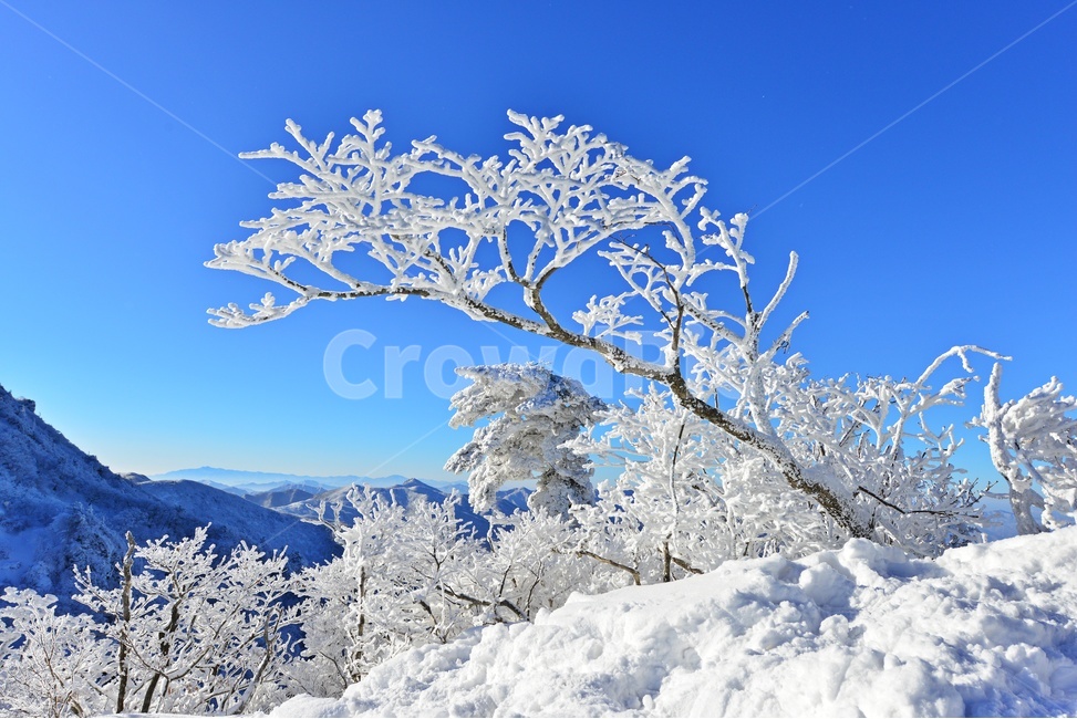 mountain,산,nature,자연,outdoors,옥외,landscape,경치,scenery,풍경,mountainrange,산맥,snow,눈,덕유산,설천봉,향적봉,중봉,상고대,덕유산설경,겨울,계절,설경,겨울,계절,winter,season,자연,풍경,nature,landscape,한국자연풍경,한국자연경관,korea nature landscape