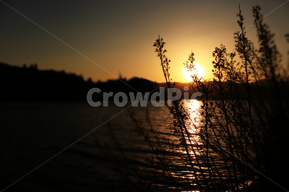 노을,석양,자연,강,갈대,산,태양,물줄기,파동,그림자,비추다,빛,river,mountain,shadow,wave,sun,highnoon,nature,natural,reed,commonreed