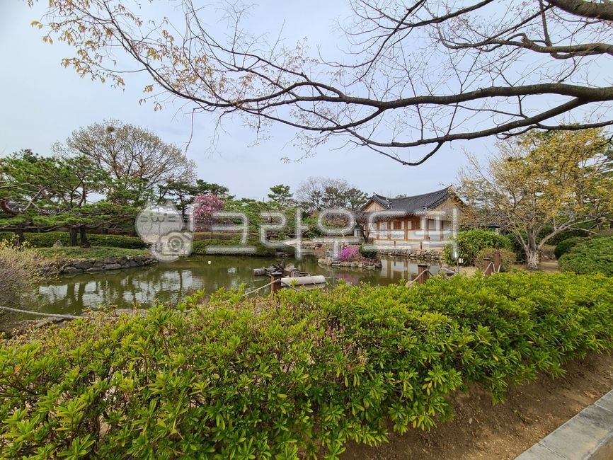 전통정원,한옥,수로왕릉,문화재,봄소풍,피크닉,한옥정원,연못