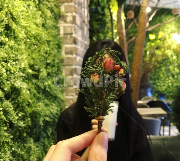human,사람,person,인물,식물,식물,자연,plants,nature