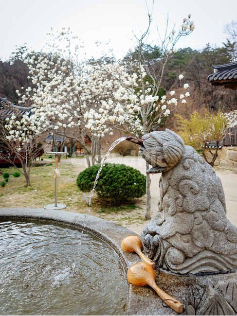 불영사,불영계곡,신라고찰,음수대,지하수