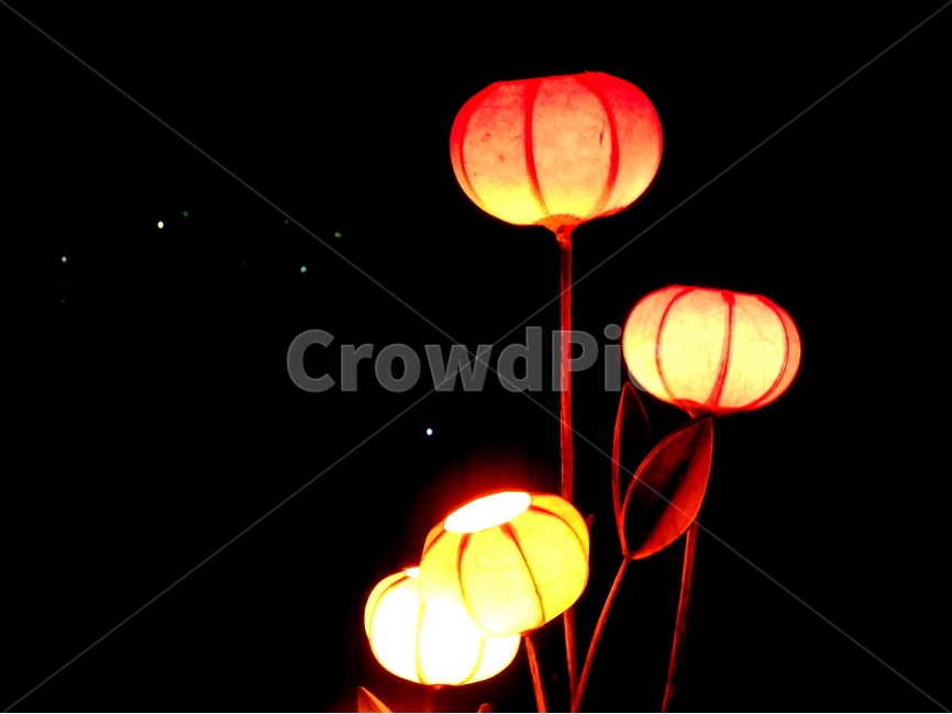 밤,야간,등불,불빛,light,야경,밤,풍경,nightscape,night,landscape