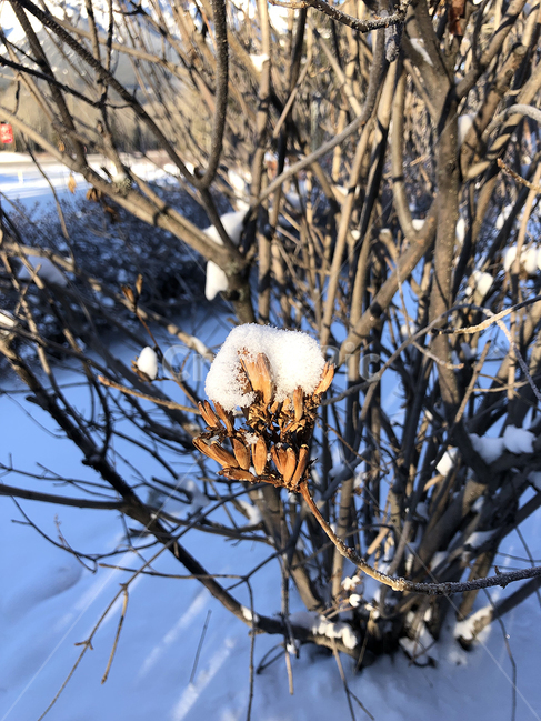 캐나다,캔모어,canmore,겨울,winter