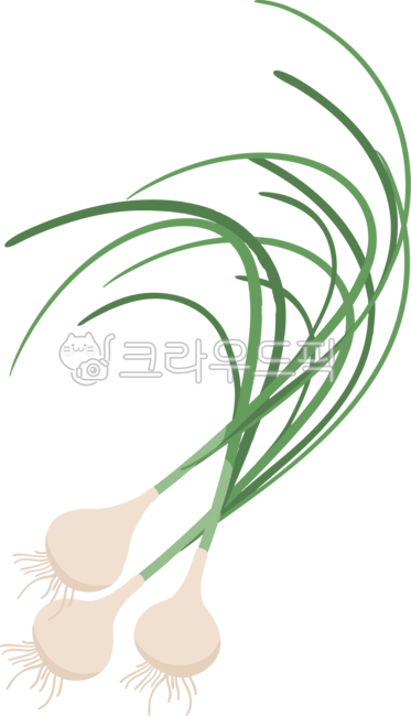 식물,음식,음식재료,봄나물,나물,건강,신선,유기농,달래