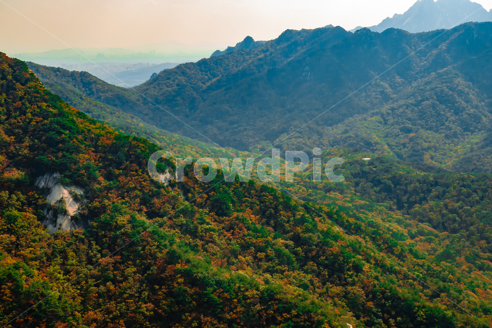 산,가을,자연,풍경,나무,배경,등산,한국자연풍경,nature,mountain,tree,sky,fall,outdoors,옥외,언덕,hill,산맥,mountainrange