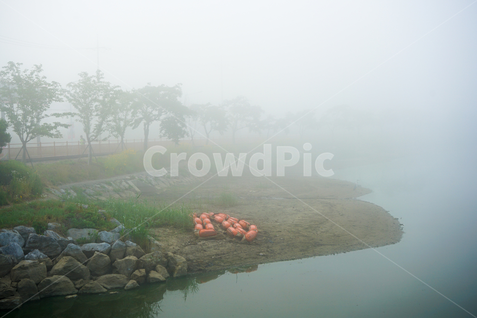 호수,안개,나무,가로수,여명,풍경,자연,풍경,nature,landscape,weather,날씨,outdoors,옥외,fog,mist