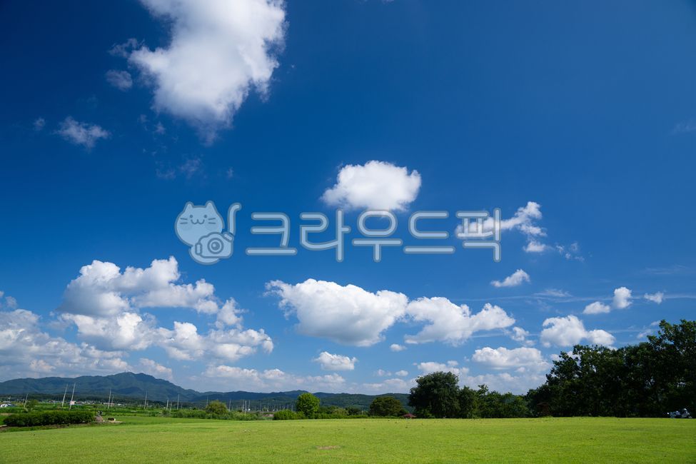 여름,하늘,뭉개구름,자연,푸른잔디