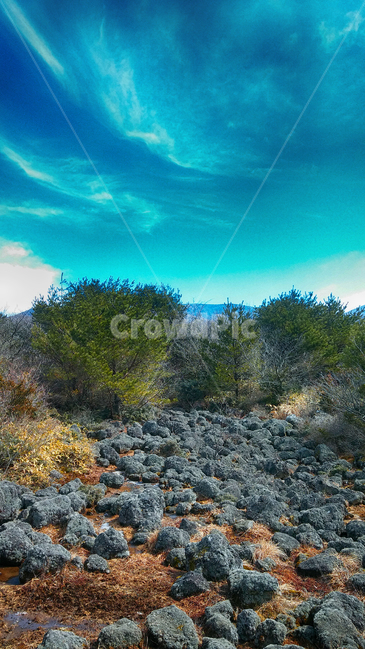 한라산1100고지,람사르습지,outdoors,옥외,nature,자연,파란하늘,흰구름,자연,풍경,nature,landscape
