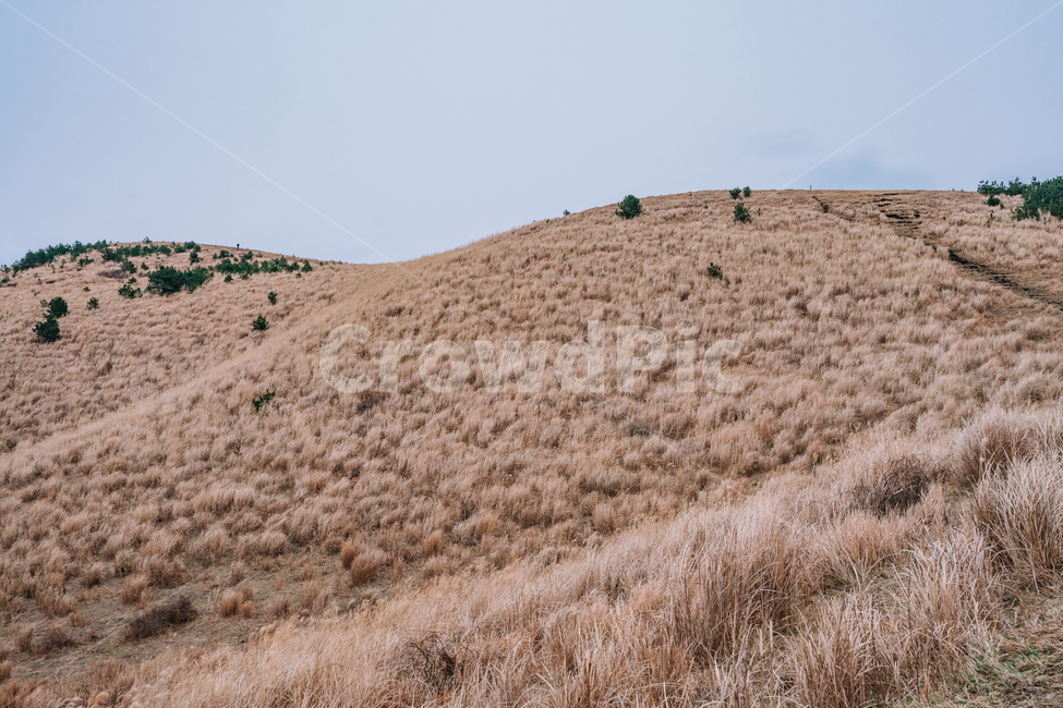 오름,용눈이오름,제주도,제주오름,풍경,자연,화산,nature,jeju,korea,landscape,자연,풍경,nature,landscape,한국자연풍경,한국자연경관,korea nature landscape,제주도,jeju,jeju island,grassland,목초지,outdoors,옥외,field,들