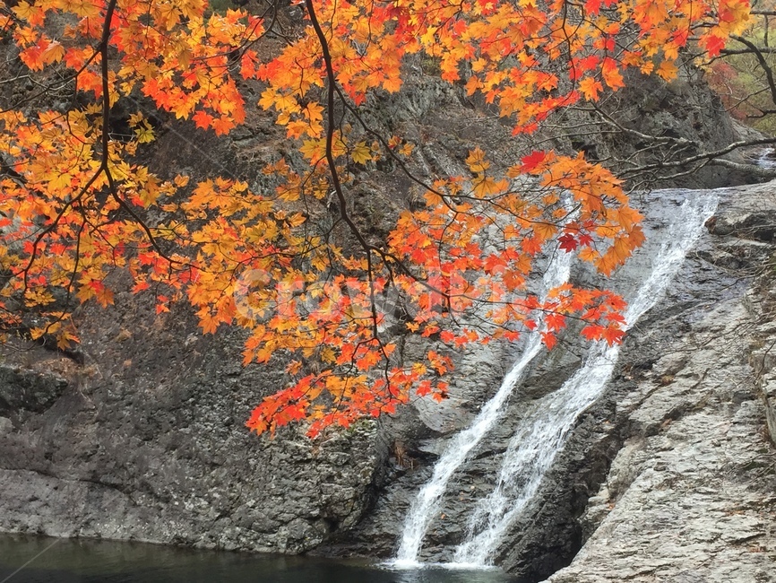식물,잎,자연,폭포,단풍,가을,산행,가을,계절,fall,autumn,season,leaf,plant,river,강,outdoors,옥외,water,물,nature