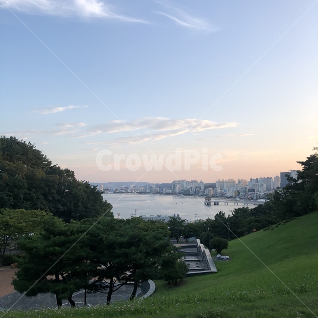 잔디,바다,노을,해질녘,다리,plant