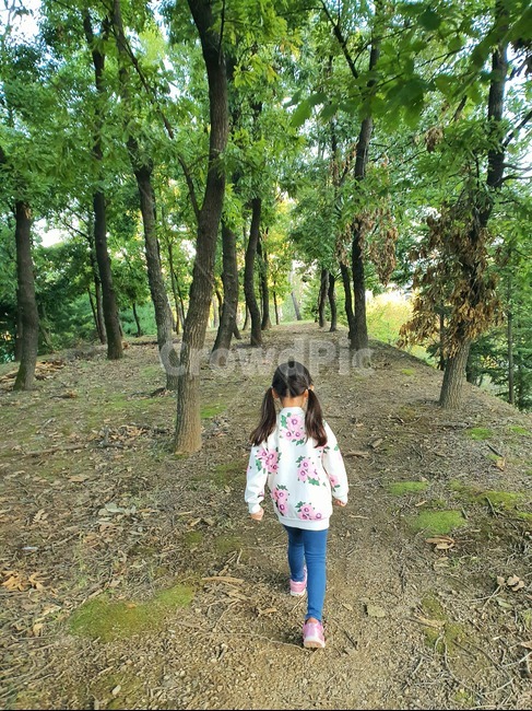 아이,뒷모습,나무,숲,사람,인간,자연,바닥,사람,인물,인간,human,person,어린이,어린아이,child,children,kid