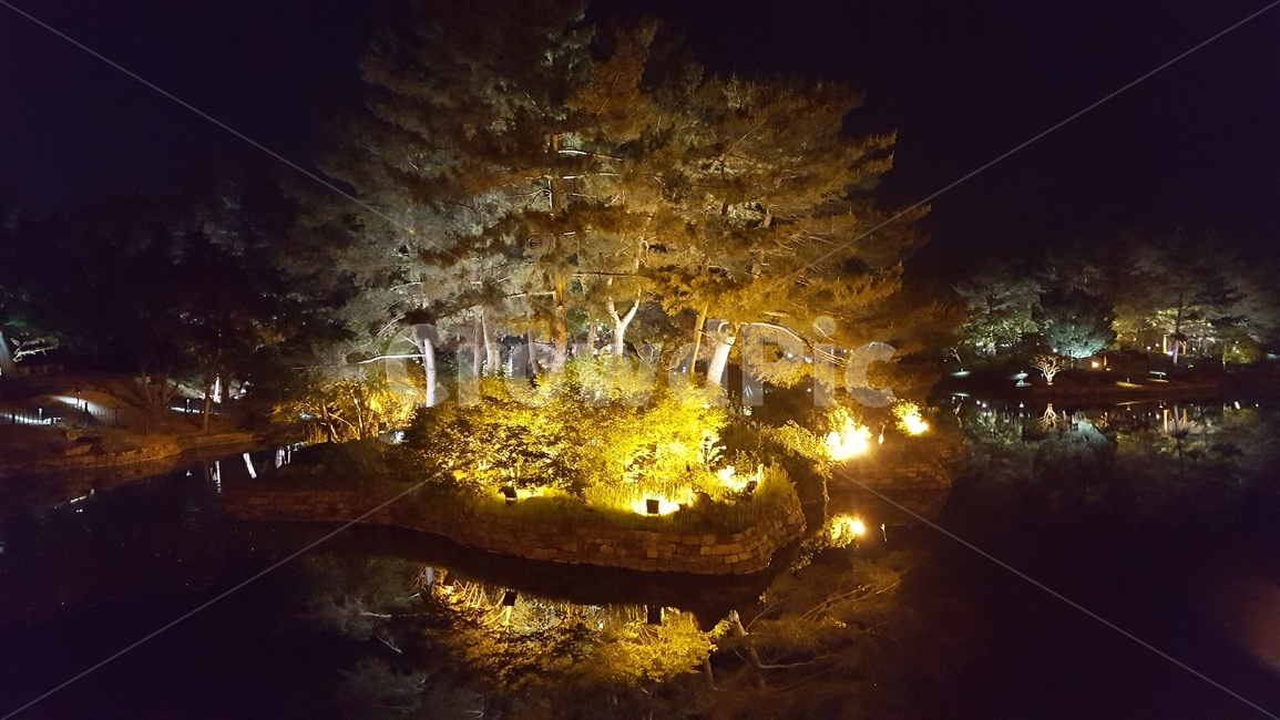 안압지,경주,동궁과월지,안압지야경,문화재,나무,야경,밤,풍경,nightscape,night,landscape,랜드마크,landmark,tourist attraction,한국랜드마크,한국관광지,한국명소,korea landmark,korea tourist attraction,light,빛,flare,플레어