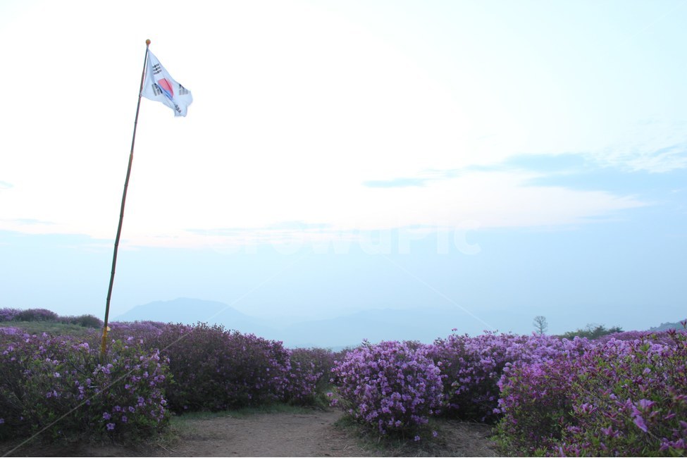 경치,자연,풍경,하늘,나무,봄,계절,spring,season,자연,풍경,nature,landscape,한국자연풍경,한국자연경관,korea nature landscape,symbol,상징,flag,깃발