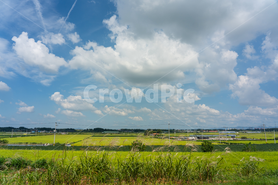 sky,cloud,하늘,구름,자연,풍경,자연,풍경,nature,landscape,시골,마을,country,rural,town,outdoors,옥외,land,땅,grassland,목초지,field,들