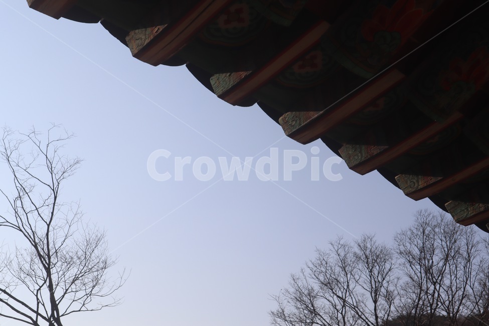 남한산성,성곽,한국,등산,한옥,한국스타일,한국집,나무,문,koreanstyle,koreanstylehouse,건축물,건축,집,architecture,strucuter,korean,korea,sky,mountaion,tree,roof,hanok