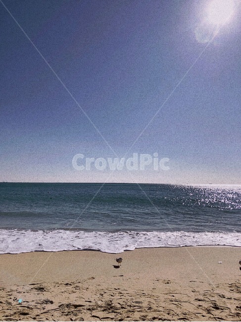 바다,파도,해변,모래사장,갈매기,하늘,자연,풍경,nature,landscape,ocean,대양,outdoors,옥외,sea,water,물
