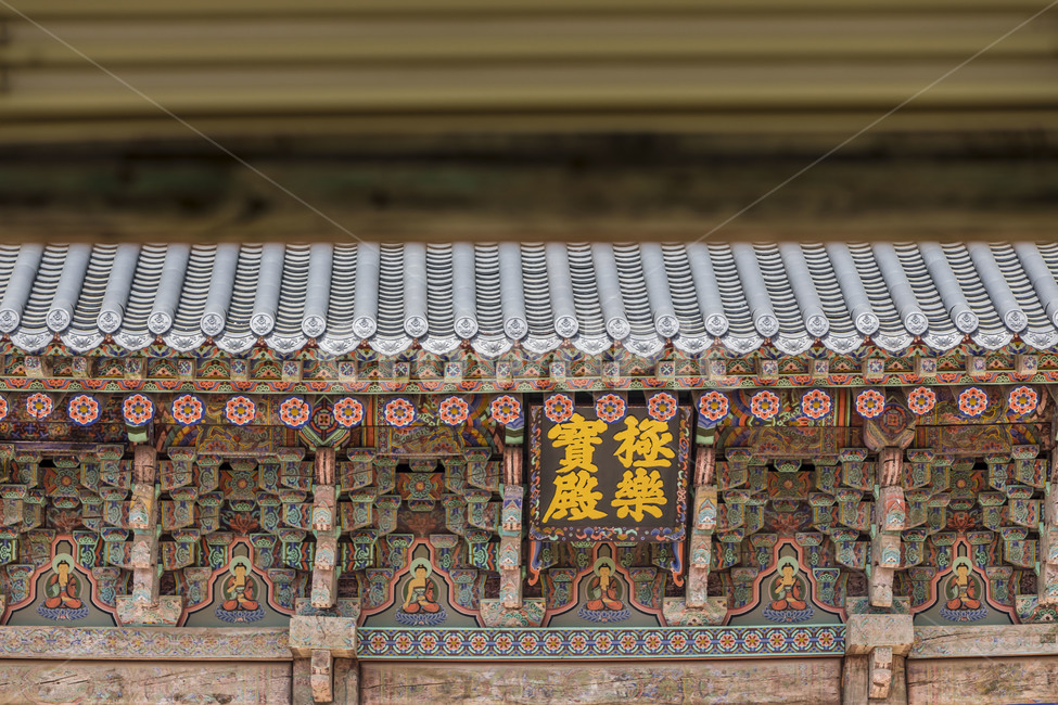 신륵사,대웅전,문화유산,단청,문양,무늬,기와,사찰,불교,한국전통,한국문화,korean traditional,korean culture,종교,신앙,religion,belief,faith,건축물,건물외관,exterior,building,structure,architecture,construction