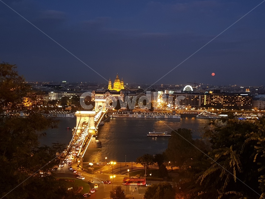 야경,불빛,다리,달,밤,강,야경,밤,풍경,nightscape,night,landscape,도시,city,해외,외국,세계,foreign,oversea,world,세계도시풍경,해외도시풍경,외국도시풍경,world cityscape,경치,outdoors,옥외,nature,자연,scenery,building,건물,urban,어반,metropolis,중심지,시티,town,aerial view,조감도