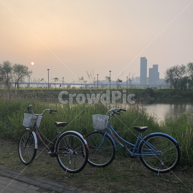 노을,해,자전거,데이트,공원,강,오후,cycle