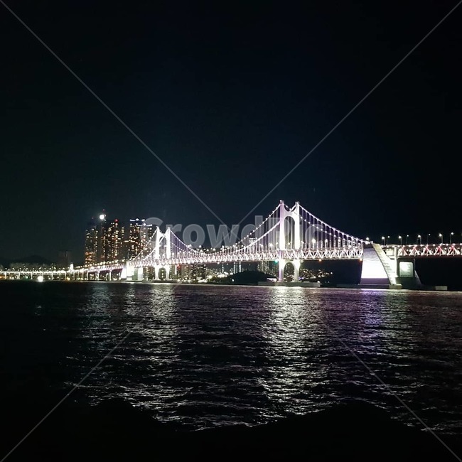 야경,다리,대교,바다,광안리,광안대교,부산,풍경,야경,밤,풍경,nightscape,night,landscape,도시,city,한국도시풍경,한국도시경관,korea cityscape,랜드마크,landmark,tourist attraction,한국랜드마크,한국관광지,한국명소,korea landmark,korea tourist attraction,building,건물,bridge