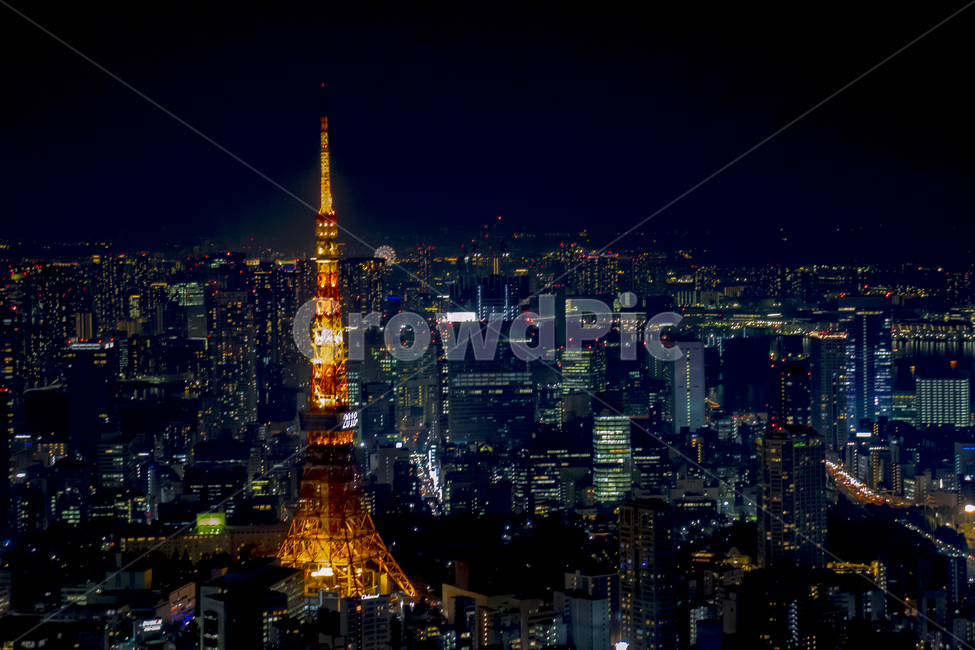 도쿄타워,도쿄,일본,야경,도시,tokyo,japan,night,city,tokyotower,야경,밤,풍경,nightscape,night,landscape,도시,city,랜드마크,landmark,tourist attraction,해외,외국,세계,foreign,oversea,world,세계도시풍경,해외도시풍경,외국도시풍경,world cityscape,세계랜드마크,해외랜드마크,외국랜드마크,world landmark,world tourist attraction,tower,탑,steeple,뾰족한 탑,spire,첨탑,architecture,건축물,building,건물