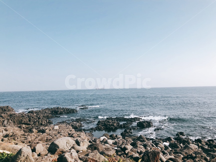 제주바다,꽃,제주도,여유,풍경,제주도꽃