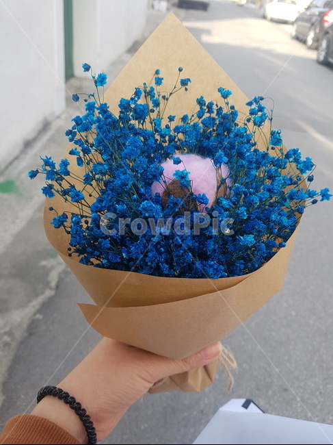 꽃다발,설렘,감성,안개꽃,선물