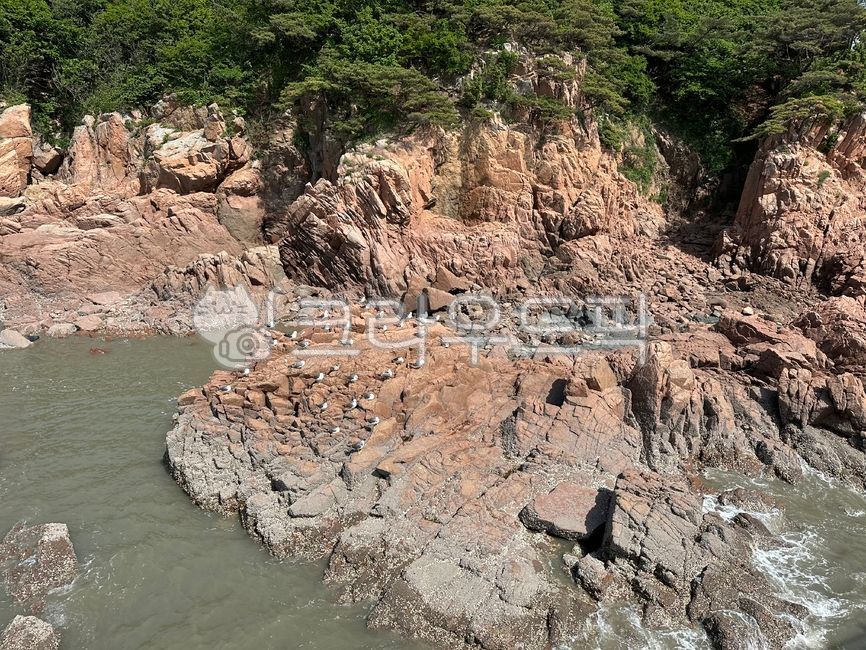 rock,섬,경치,자연경치,nature,낭떠러지,cliff,바위,강