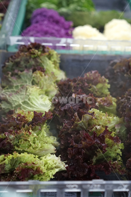 vegetables,야채,채소,신선한,유기농,식품,건강,상추,자연,채식,채식주의자,녹색,마트,시장,음식,식재료,요리,food,cook,meal,dishes,food reserves,채소,야채,vegetables