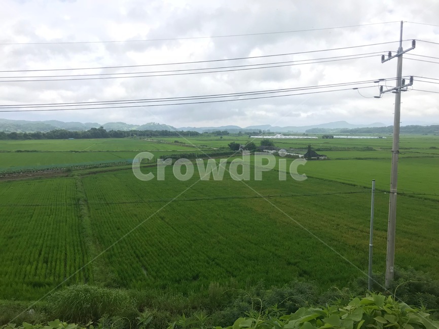 녹색,자연,논밭,풍경,청명,청정,시골,마을,풍경,landscape,country,rural,town