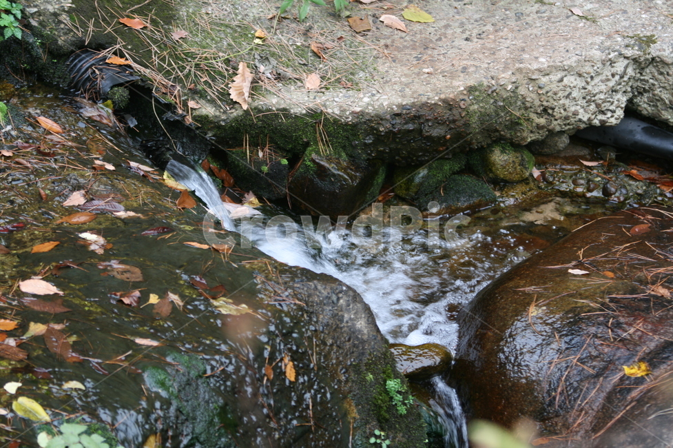 시냇물,개울,유명산,가을,도랑,가을,계절,fall,autumn,season,water,물,nature,자연,outdoors,옥외,stream,흐름,creek,작은 만