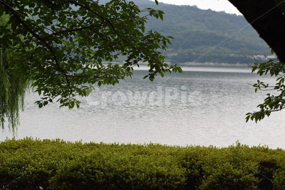 나무,풍경,공원,tree,park