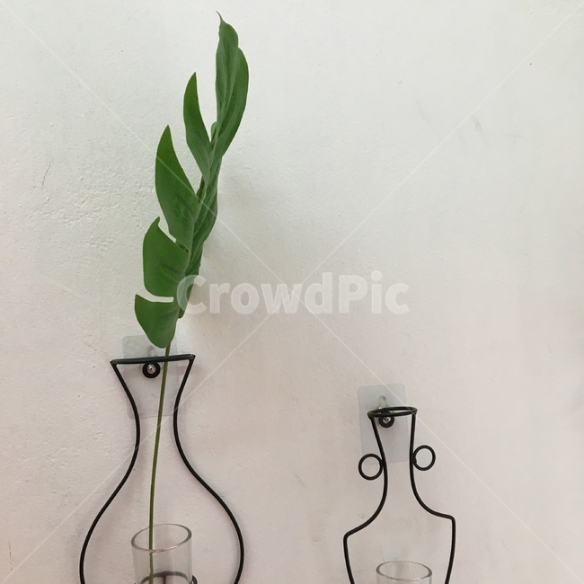 꽃,인테리어,감성사진,감성,화분